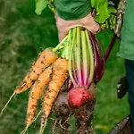 펜션 Peaceful Smallholding With Yoga *