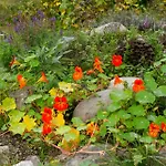 Peaceful Smallholding With Yoga * Traut