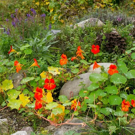 Peaceful Smallholding With Yoga * Traut