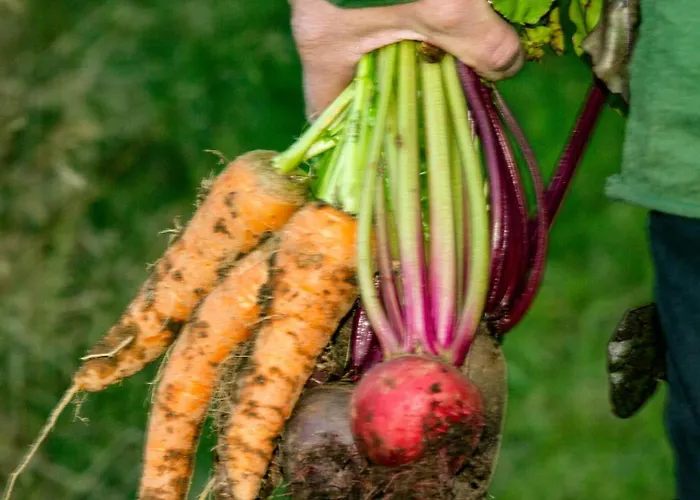Дом отдыха Peaceful Smallholding With Yoga *